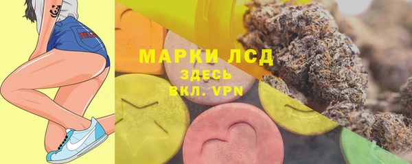 СК Липки