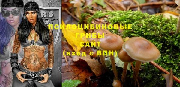 бошки Алексин