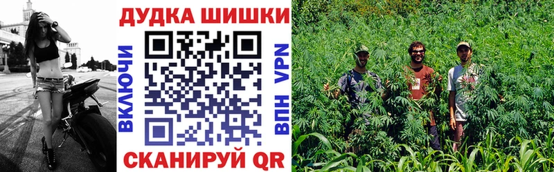 Бошки Шишки конопля  мега ТОР  Находка 